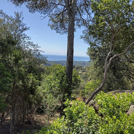 Casa Feliz Villa Sant Cebrià de Vallalta Buitenkant foto