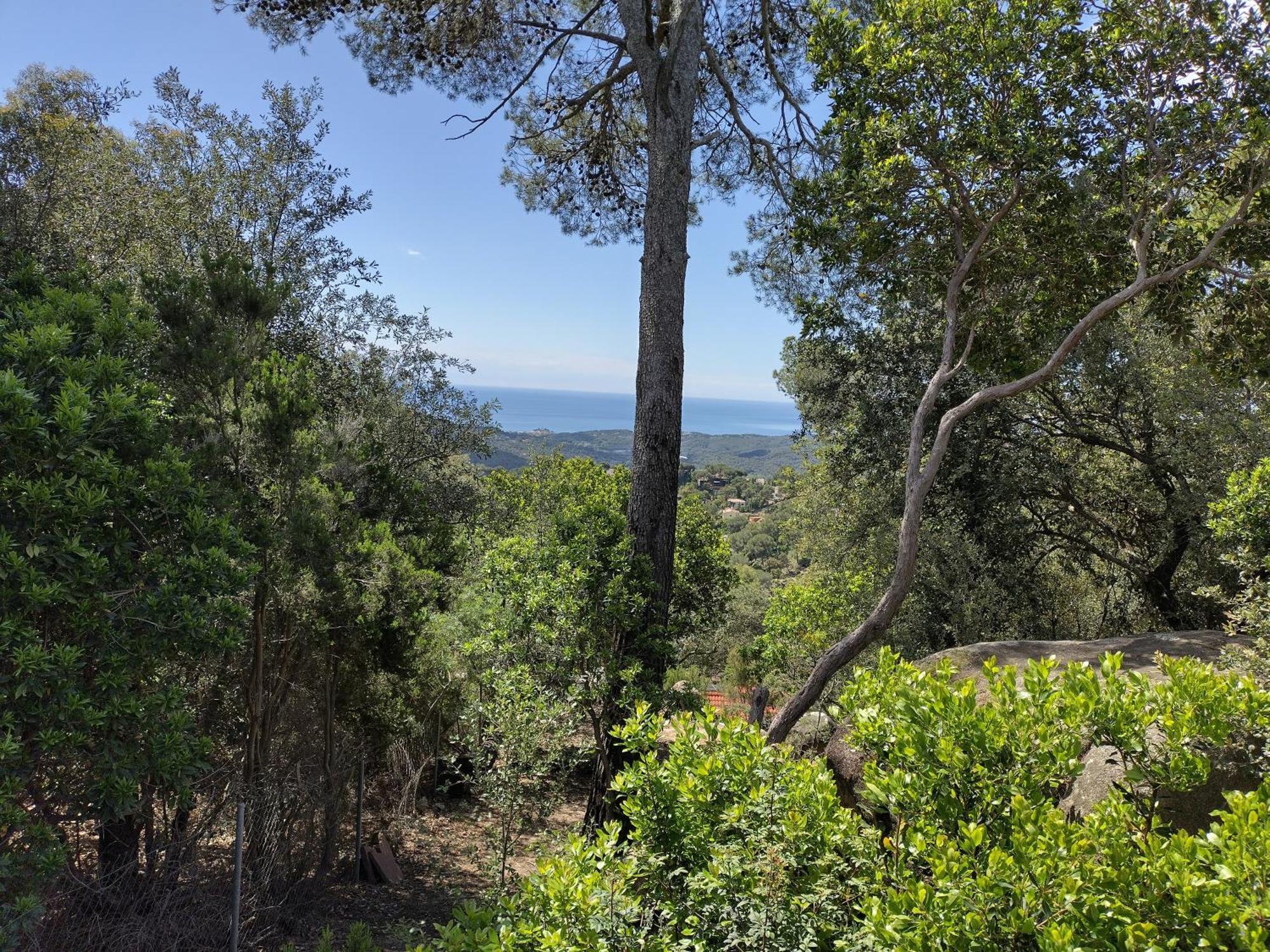 Casa Feliz Villa Sant Cebrià de Vallalta Buitenkant foto